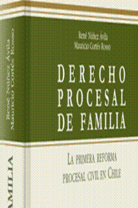 analisis de reformas en derecho familiar