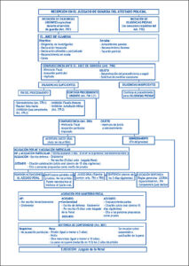 procesos acelerados en juicios rapidos